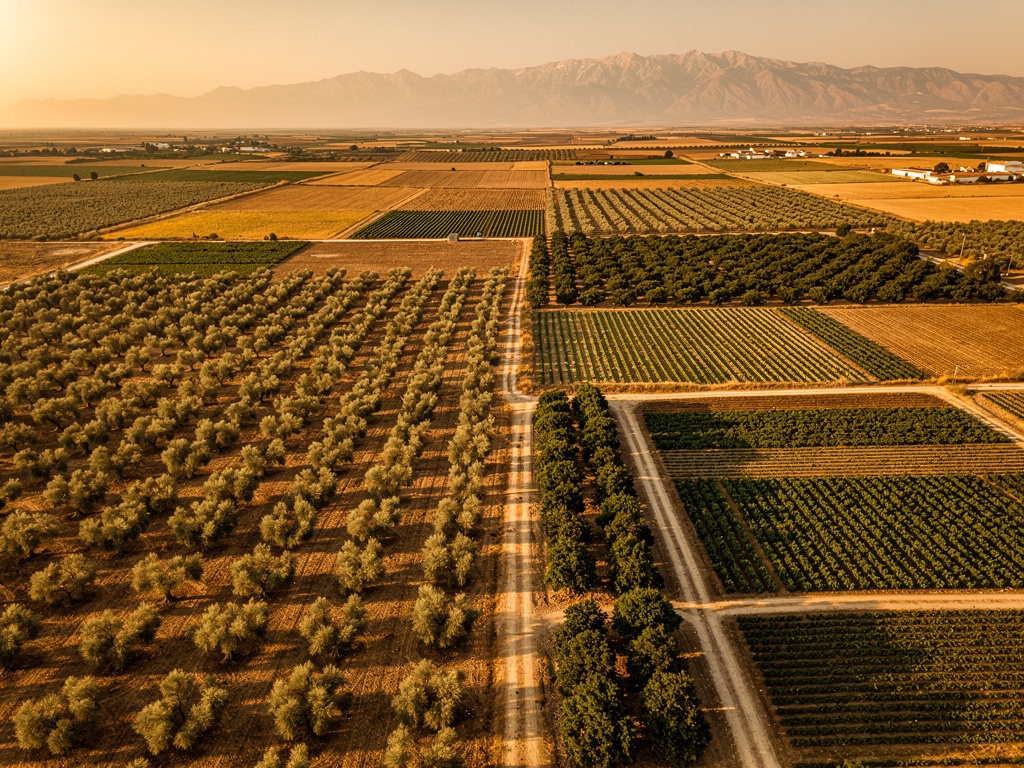 Vista aérea de campos agrícolas en Andalucía captada por dron